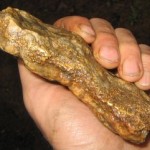 24.79 Ounce vein section found in tailing pile in 2005